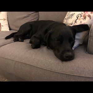 Meet your Posher, Ashley